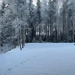Brand New Arctic Snowstar