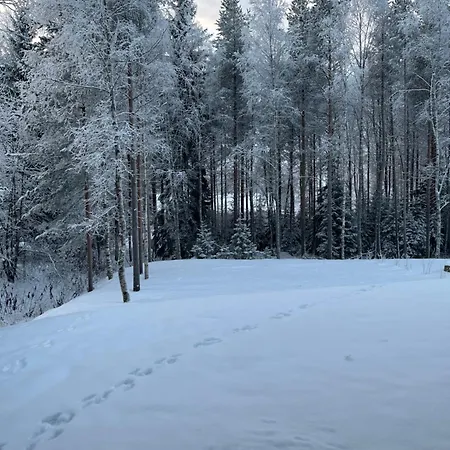 Brand New Arctic Snowstar