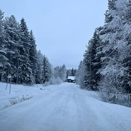 Brand New Arctic Snowstar * Rovaniemi